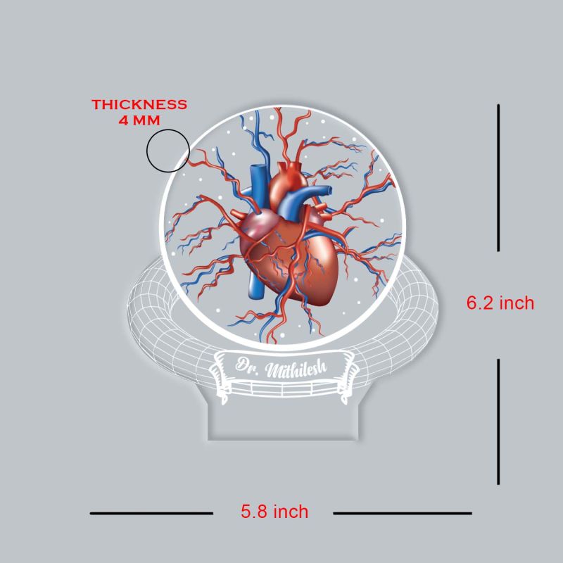 Personalized Anatomical Heart 3D LED Night Light Medical Desk Lamp Gift for Cardiologists, & Heart Surgeon 7 Color Changing Acrylic Lamp for Office, Study Table & Clinic Decor